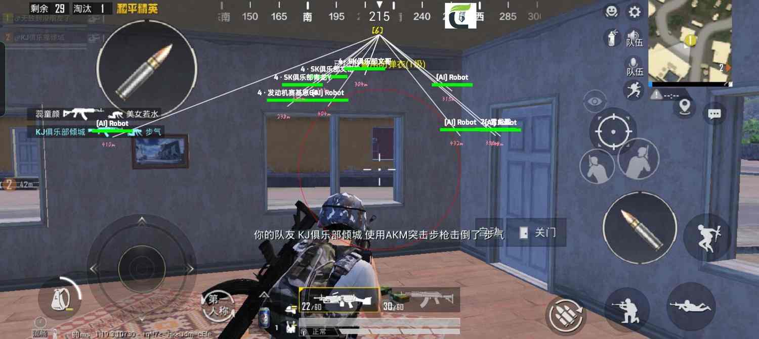 和平精英「小提琴」直装辅助